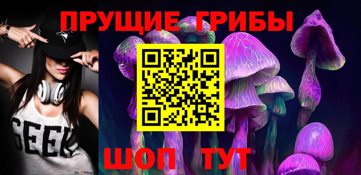 Галлюциногенные грибы Psilocybe Татарск